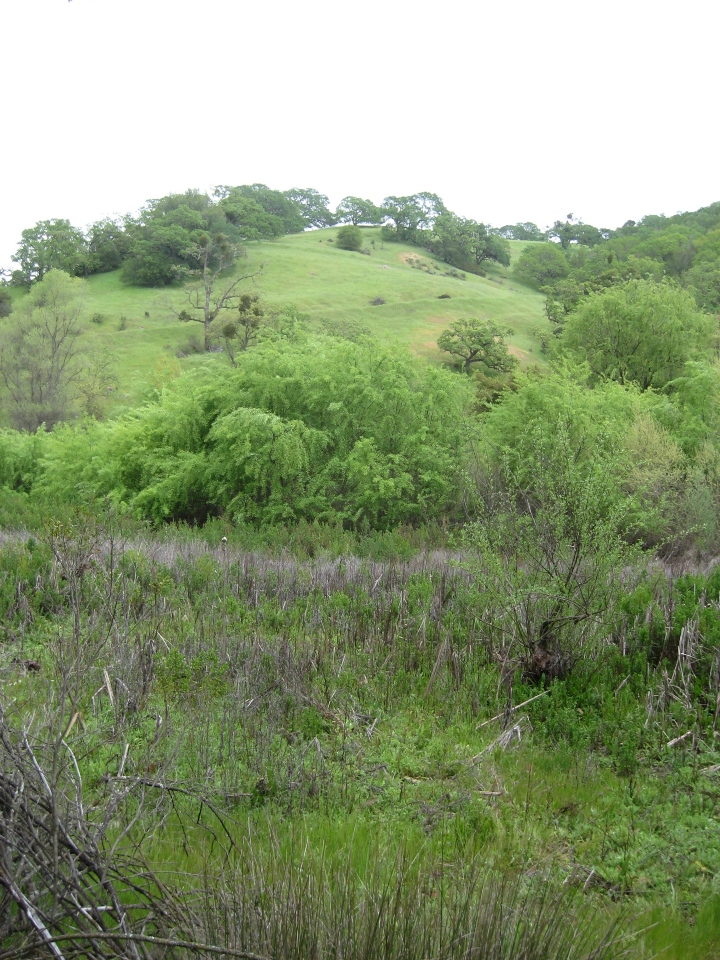 Almaden Quicksilver Park